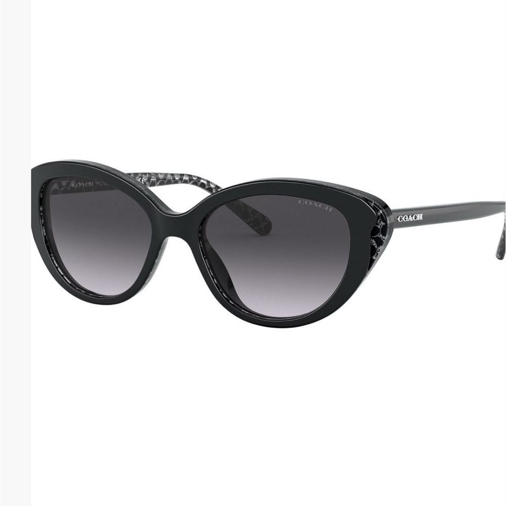 Coach Black Modern Sunglasses